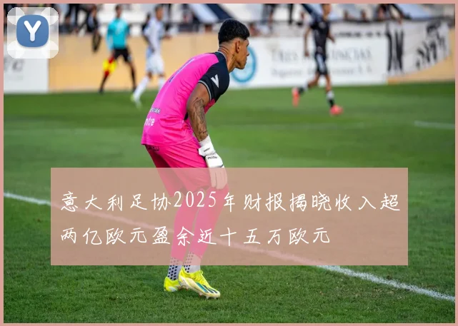 意大利足协2025年财报揭晓收入超两亿欧元盈余近十五万欧元