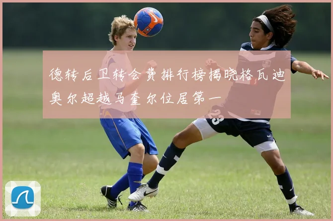 德转后卫转会费排行榜揭晓格瓦迪奥尔超越马奎尔位居第一